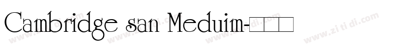 Cambridge san Meduim字体转换